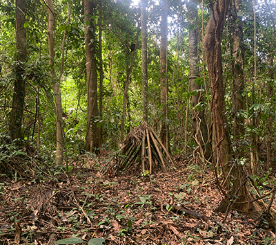 Big Deal, Land For Sale in the Caribe
