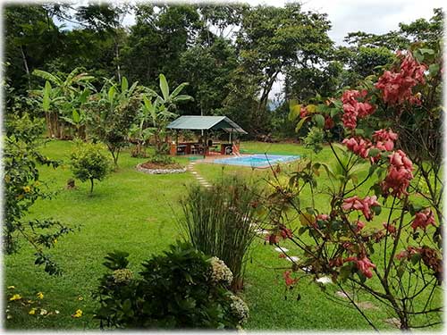 turrialba, central valley, homes, for sale, cozy, birdwatching, nature, fruit trees, waterfall, river, landscape, whitewater rafting