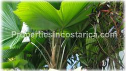 Costa Rica, commercial centers, for sale, hotels for sale, costa rica businesses for sale, business for sale 