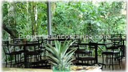 Costa Rica, commercial centers, for sale, hotels for sale, costa rica businesses for sale, business for sale 