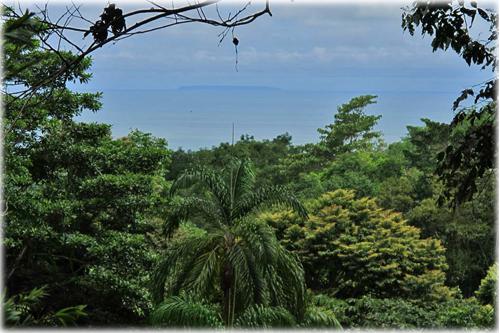costa rica real estate, for sale, ocean view, mountain, mountain view, mountain home, beach town, residential, dominical real estate, properties in dominical, homes, condos, beach, beach homes
