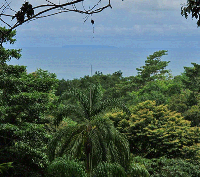 4 Bedroom Home with Pool and Ocean Views in Uvita