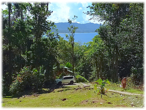 pristine land, rainforest, land for sale, limon, caribbean, development, conservation lot, puerto viejo, trails, sustainable properties