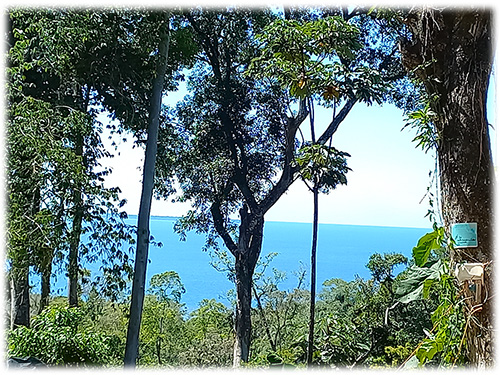 pristine land, rainforest, land for sale, limon, caribbean, development, conservation lot, puerto viejo, trails, sustainable properties