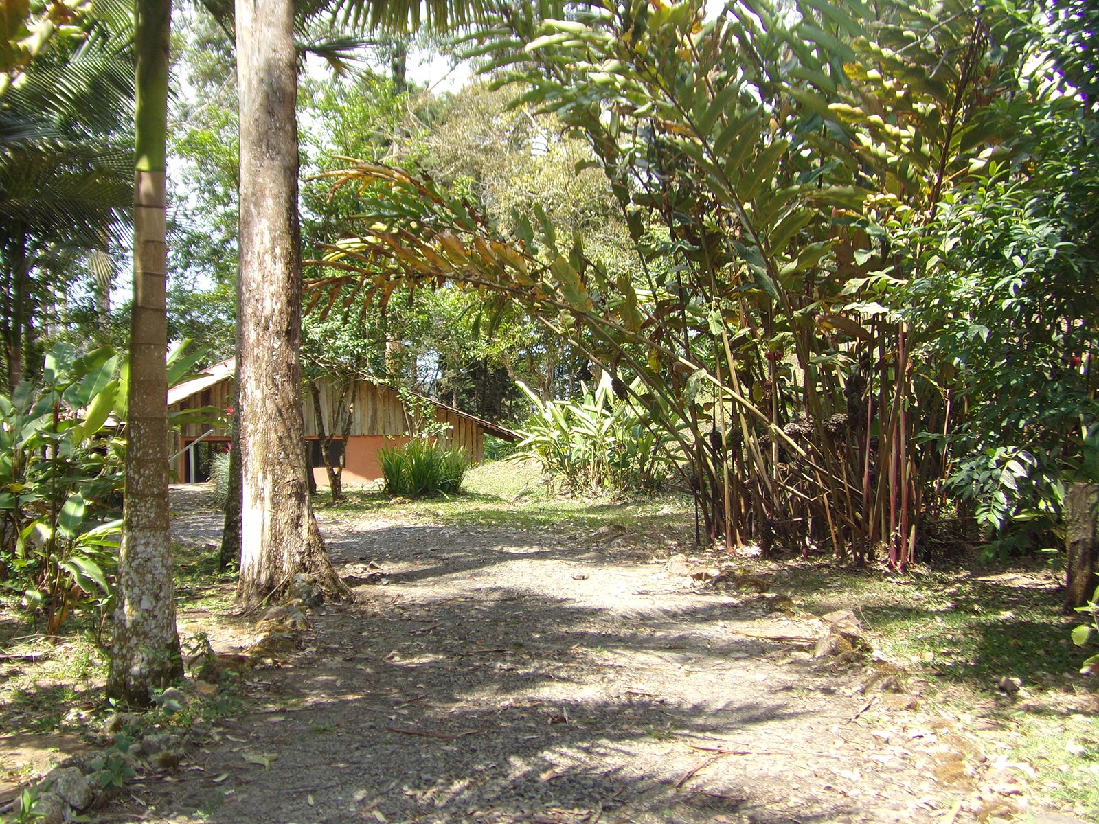 rental business for sale costa rica