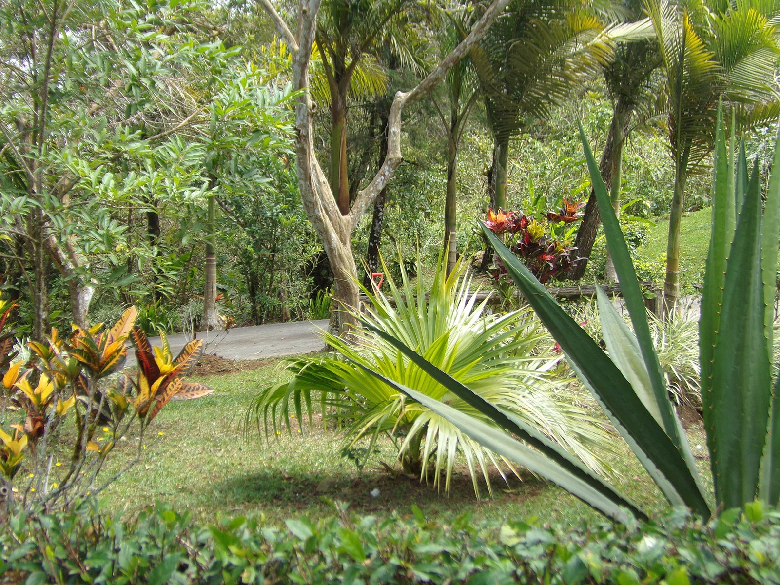 eco-resort