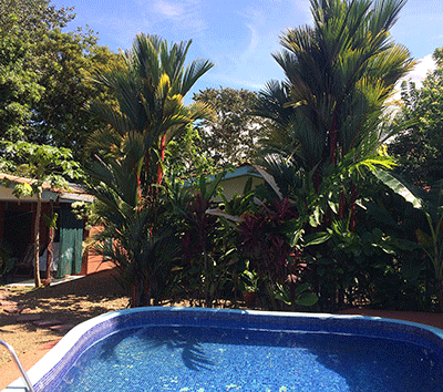 Incoming producing cabinas walking distance to the beach