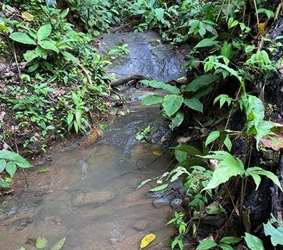 Off Grid Yet Centric