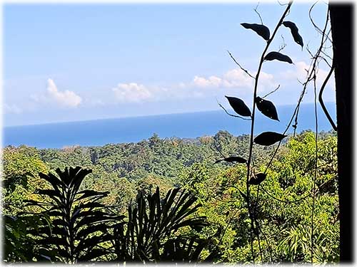 Costa Rica, Caribbean, Cahuita, Ocean View, Real Estate, Farm, Land, for sale, sustainable, development