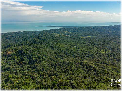 Costa Rica, Caribbean, Cahuita, Ocean View, Real Estate, Farm, Land, for sale, sustainable, development