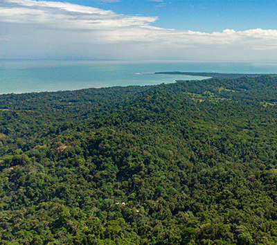 Cahuita Oceanview Farm Ideal for a Sustainable Development