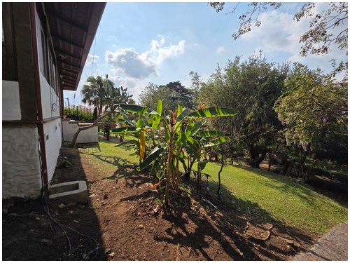 escazu, santa ana, for rent, alto las palomas, city house, for rent properties