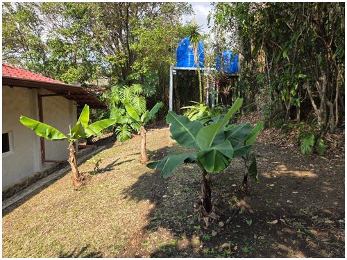 escazu, santa ana, for rent, alto las palomas, city house, for rent properties