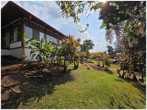 escazu, santa ana, for rent, alto las palomas, city house, for rent properties