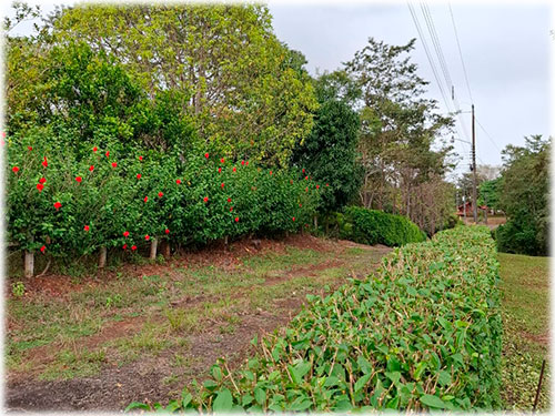 alajuela, san mateo, land, for sale, mountain, development opportunity