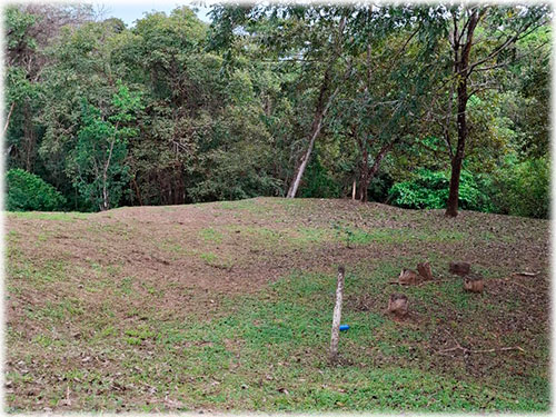 alajuela, san mateo, land, for sale, mountain, development opportunity