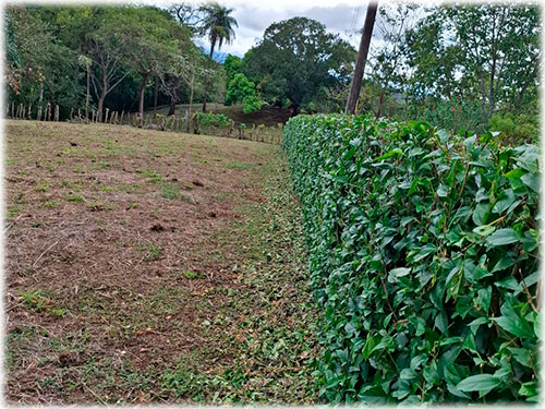 alajuela, san mateo, land, for sale, mountain, development opportunity