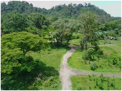 Caribbean, investment opportunity, lots for sale, beach lots, beach properties, hone creek, caribe