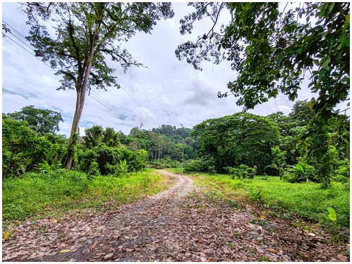 Caribbean, investment opportunity, lots for sale, beach lots, beach properties, hone creek, caribe