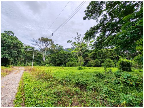 Caribbean, investment opportunity, lots for sale, beach lots, beach properties, hone creek, caribe
