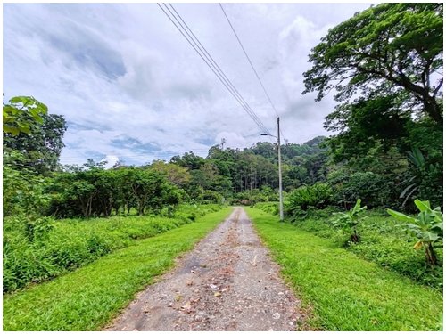 Caribbean, investment opportunity, lots for sale, beach lots, beach properties, hone creek, caribe