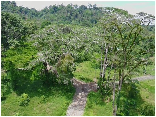 Caribbean, investment opportunity, lots for sale, beach lots, beach properties, hone creek, caribe