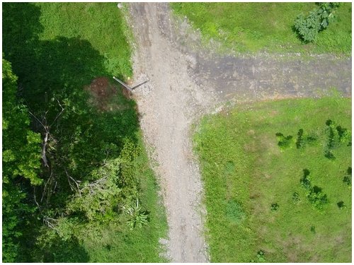 Caribbean, investment opportunity, lots for sale, beach lots, beach properties, hone creek, caribe