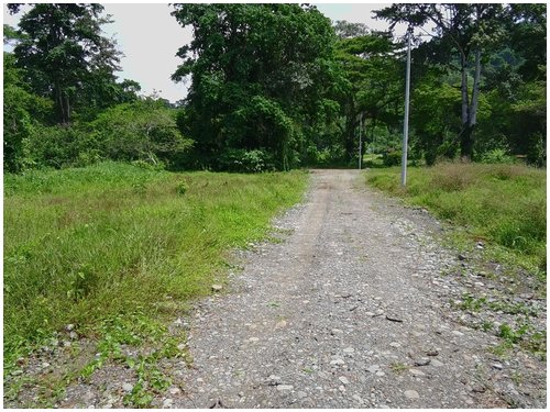 Caribbean, investment opportunity, lots for sale, beach lots, beach properties, hone creek, caribe