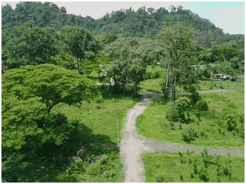 Residential Lots for Sale Near Puerto Viejo starting at 60$/sqm
