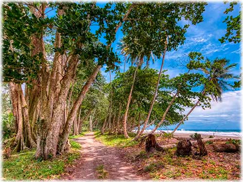 vacation properties, for rent, caribbean ocean, limon, beach, beach town, close to the beach, costa rica, furnished