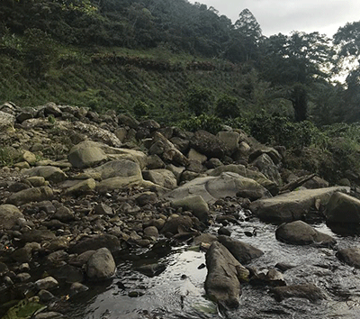 Unique, Worth Seeing Farm Land with Multiple Water Sources and Endless possibilities