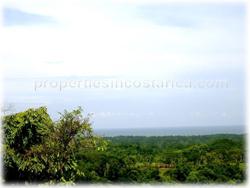 Costa Rica horse properties, organic plantation, carbon neutral costa rica