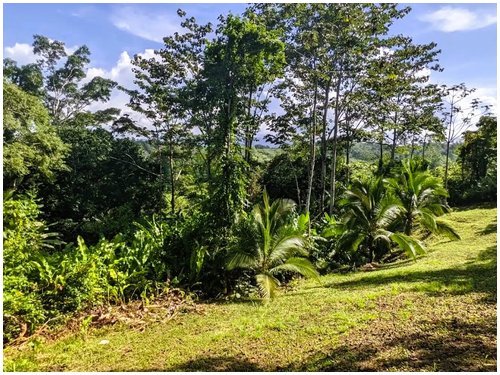 Land for sale Costa Rica, mountain view lot Costa Rica, Puerto Viejo real estate, Punta Uva land, gated community Costa Rica, Caribbean coast property, titled land for sale, owner financing Costa Rica