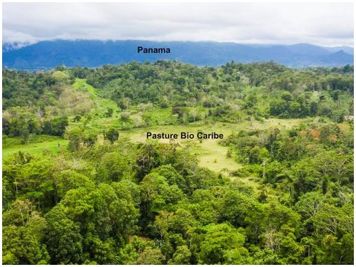 Land for sale Costa Rica, mountain view lot Costa Rica, Puerto Viejo real estate, Punta Uva land, gated community Costa Rica, Caribbean coast property, titled land for sale, owner financing Costa Rica