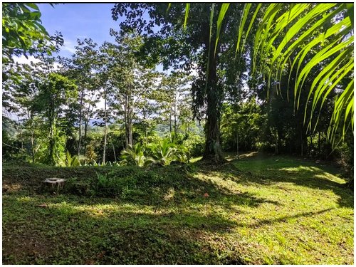 Land for sale Costa Rica, mountain view lot Costa Rica, Puerto Viejo real estate, Punta Uva land, gated community Costa Rica, Caribbean coast property, titled land for sale, owner financing Costa Rica