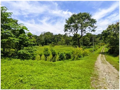 Land for sale Costa Rica, mountain view lot Costa Rica, Puerto Viejo real estate, Punta Uva land, gated community Costa Rica, Caribbean coast property, titled land for sale, owner financing Costa Rica