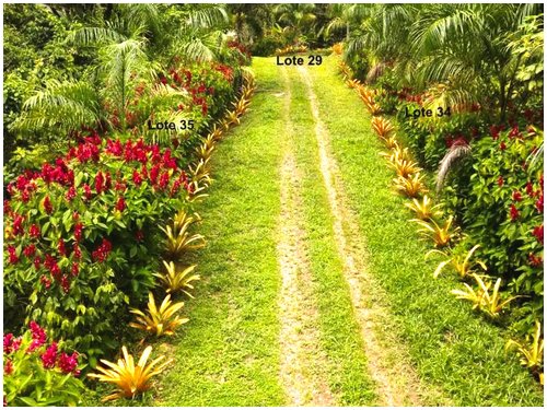 Land for sale Costa Rica, mountain view lot Costa Rica, Puerto Viejo real estate, Punta Uva land, gated community Costa Rica, Caribbean coast property, titled land for sale, owner financing Costa Rica