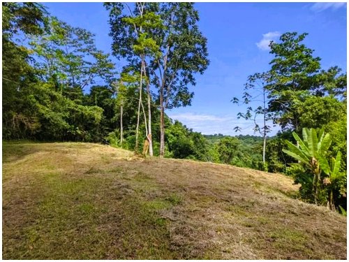 Land for sale Costa Rica, mountain view lot Costa Rica, Puerto Viejo real estate, Punta Uva land, gated community Costa Rica, Caribbean coast property, titled land for sale, owner financing Costa Rica