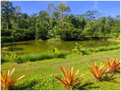Land for sale Costa Rica, mountain view lot Costa Rica, Puerto Viejo real estate, Punta Uva land, gated community Costa Rica, Caribbean coast property, titled land for sale, owner financing Costa Rica