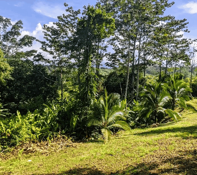 Mountain View Lot in Private Gated Community, Owner financing available
