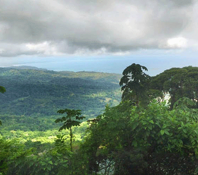 Bejuco Spanning Ocean View Land