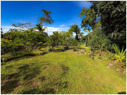 caribe, colorful home, caribbean, cahuita, income property