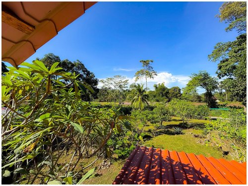 caribe, colorful home, caribbean, cahuita, income property