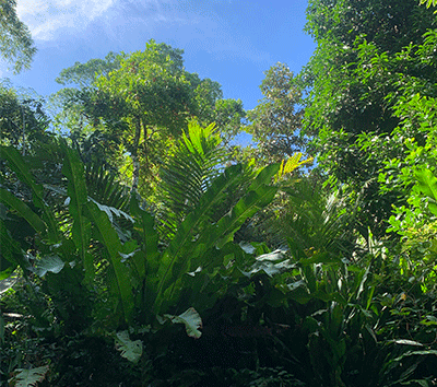 Commercial Lot Opportunity