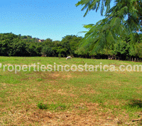 Great Opportunity for Commercial and Residential Property 