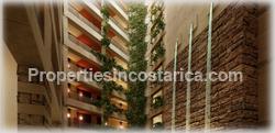 swimming pool, privacy, security, paradise, 1466