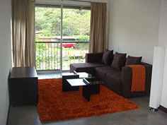 Fully Furnished Contemporary Loft For Rent in Santa Ana