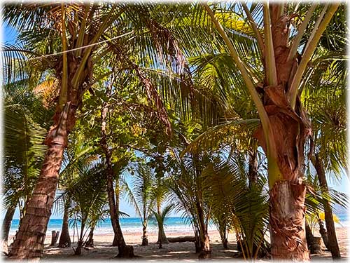 paquera, private pool, homes, beach properties, tambor