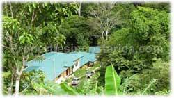Costa Rica real estate, for sale, Dominical Costa Rica, residential development, investment opportunity, dominical beach, waterfall, jungle