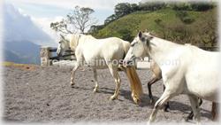 property, luxury estate for sale, costa rica getaway, hideaways, costa rica real estate video, escazu view home, river properties